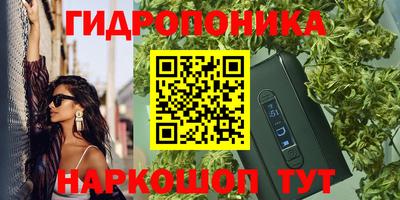 стаф Кандалакша