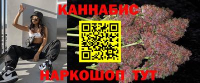 стаф Кандалакша