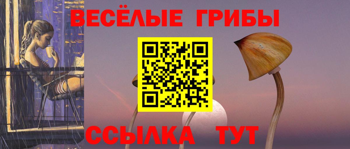 Галлюциногенные грибы GOLDEN TEACHER  Вход с VPN  Старая Купавна 