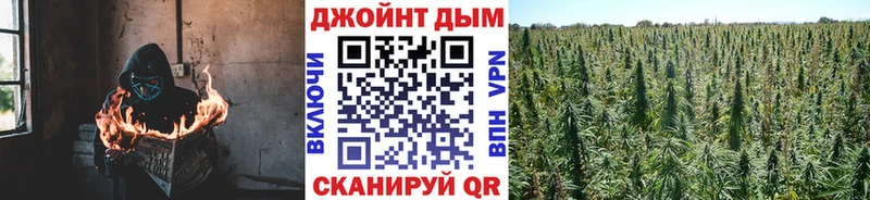 Каннабис White Widow  магазин продажи   Старая Купавна 